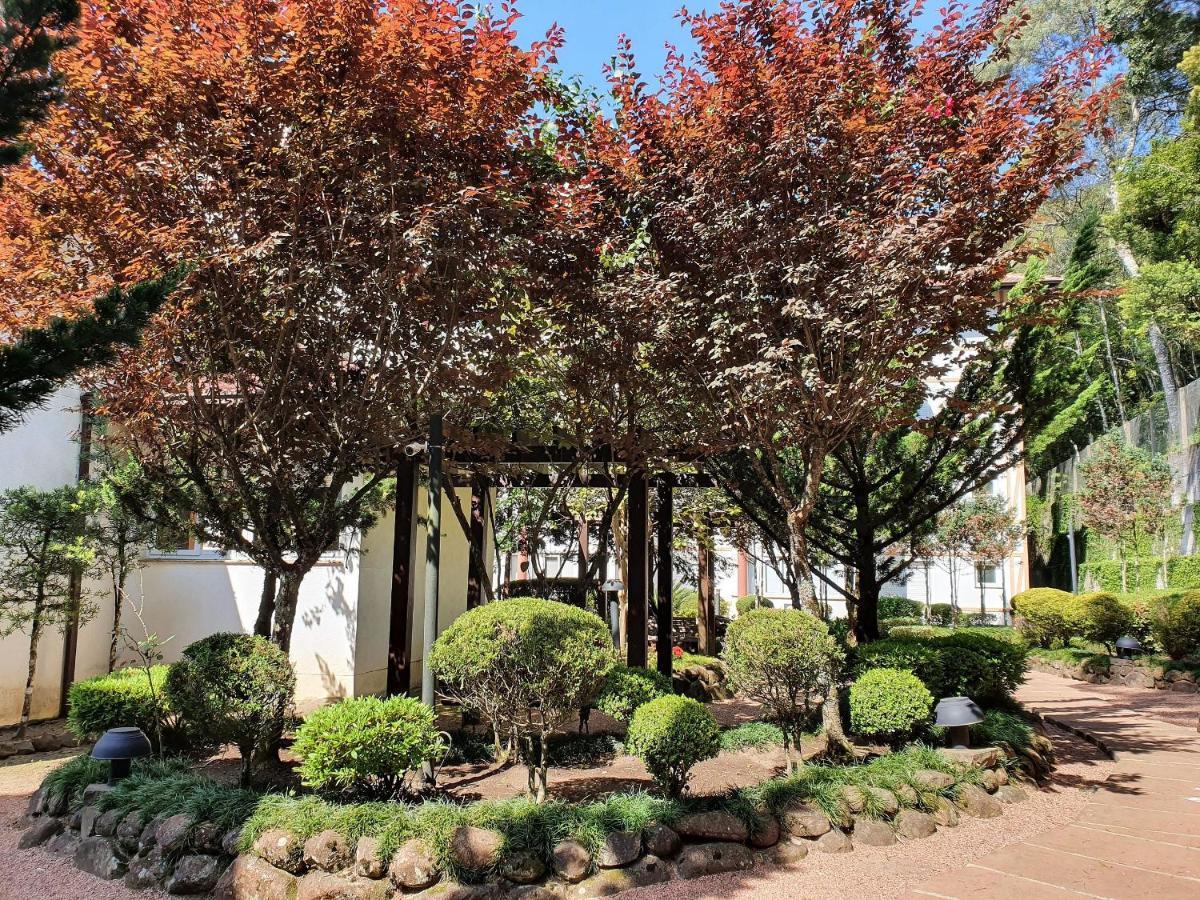 Apto No Centro De Gramado Com Piscina Termica 외부 사진